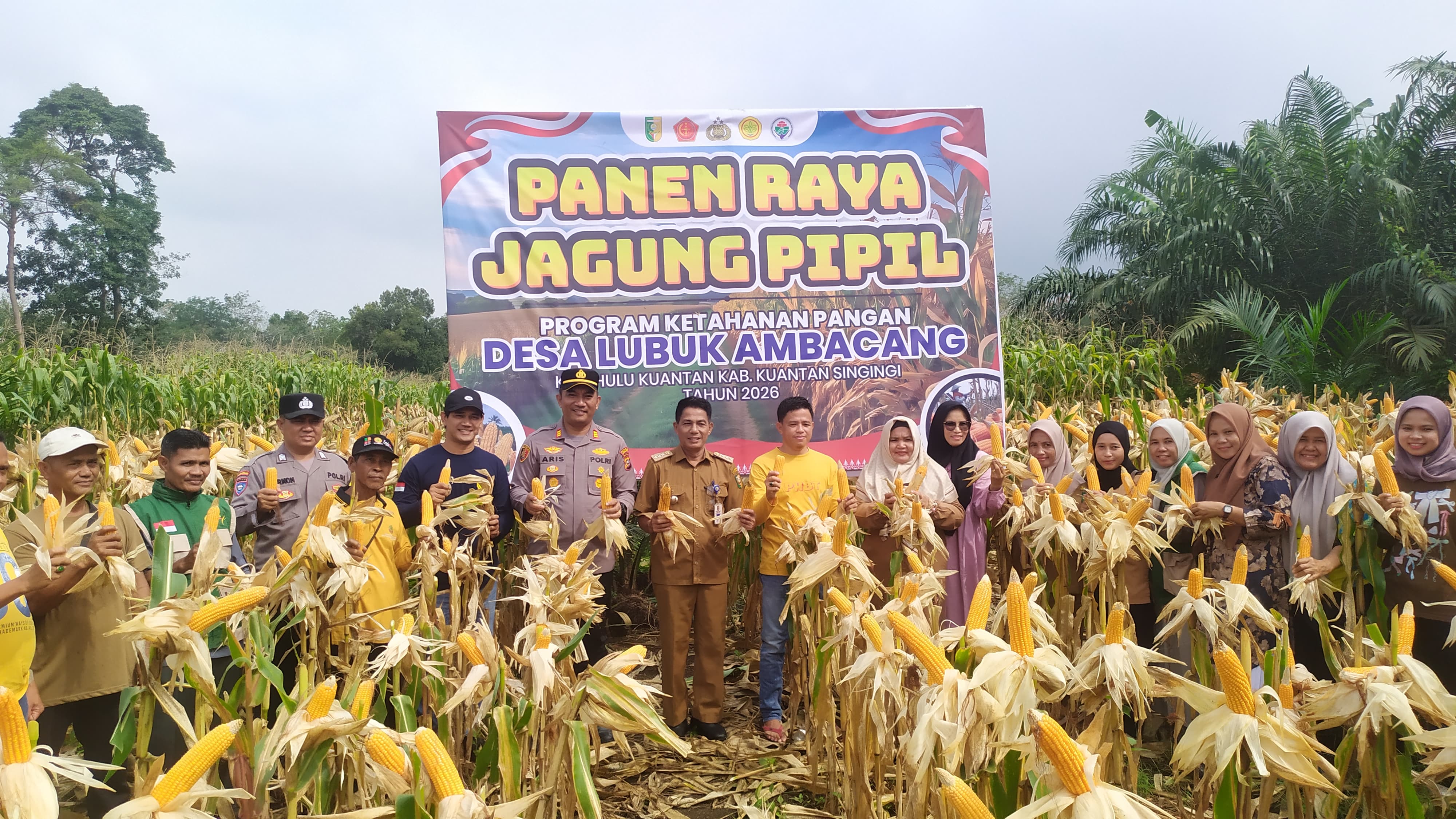 Azisman, SST